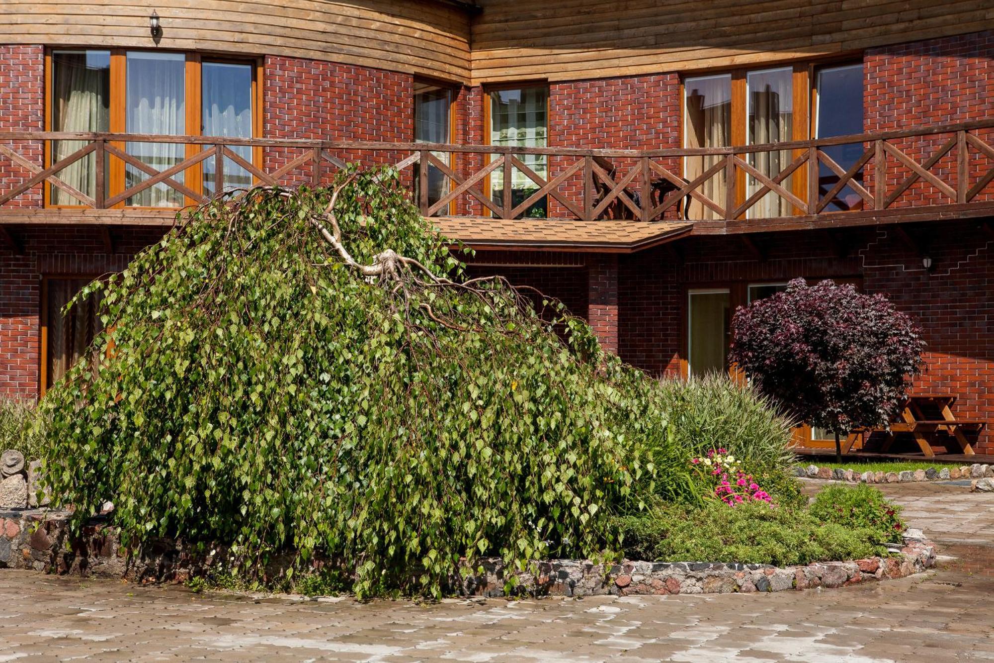 Vila Sraige Palanga Exterior photo